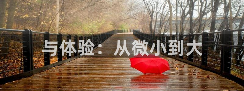 好博体育官方正版app集团官网网址:与体验:从微小到大