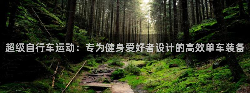 好博体育官方正版app官方:超级自行车运动:专为健身爱好者设