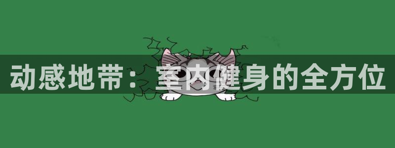 好博体育官方正版app娱乐是那个系列的台子:动感地带:室内健